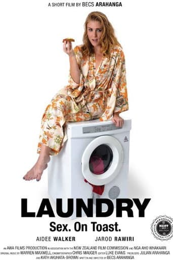 Poster for Laundry