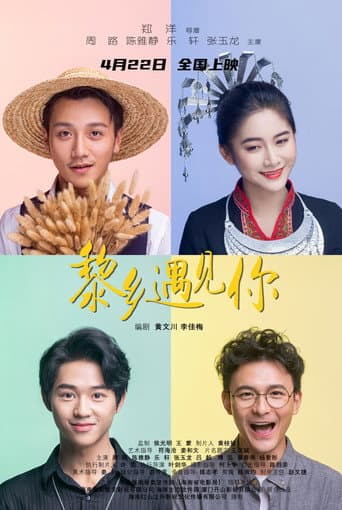 Poster for Meeting You in Hainan Island