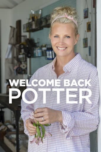 Poster for Welcome Back Potter