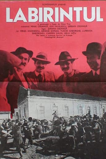 Poster for Labirintul