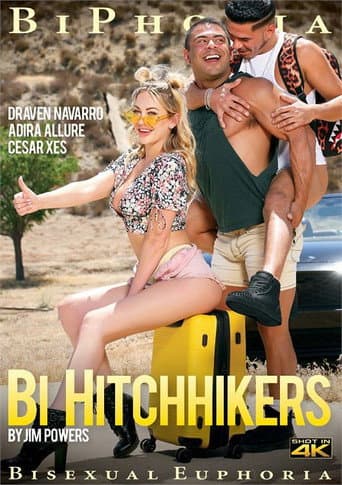 Poster for Bi Hitchhikers