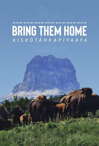 Poster for Bring Them Home