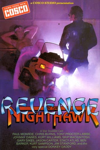 Poster for Revenge of the Nighthawk in Leather