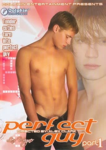 Poster for Perfect Guy Part 1