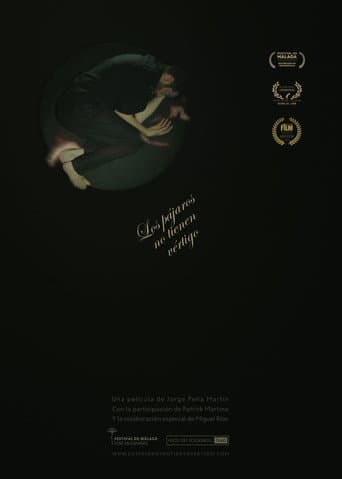 Poster for Los pájaros no tienen vértigo