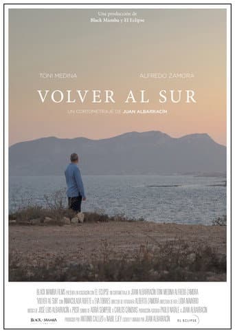 Poster for Volver al sur