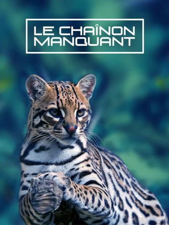 Poster for Le Chaînon Manquant