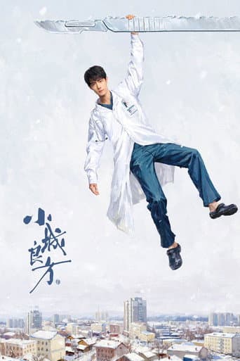 Poster for 小城良方