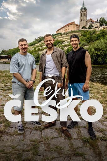 Poster for Čekuj Česko