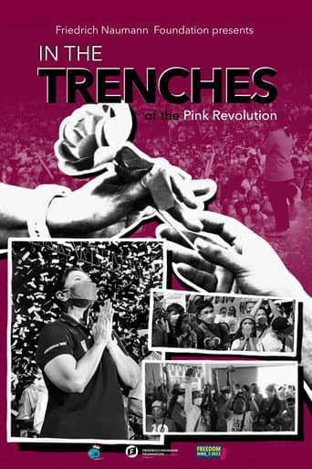 Poster for In The Trenches Of The Pink Revolution