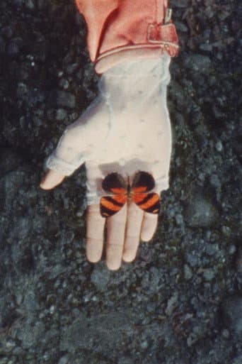 Poster for A Monster Called Love