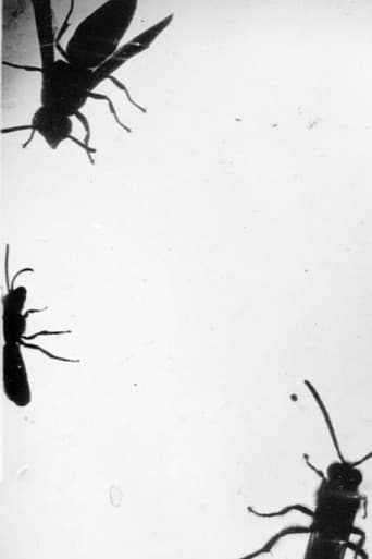 Poster for Insectes