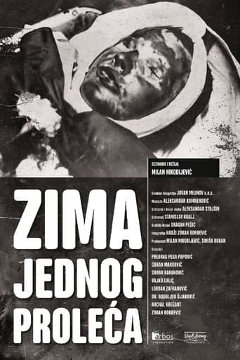 Poster for Winter of One Spring