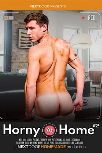 Poster for Horny at Home 2