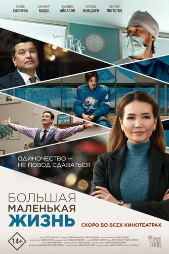 Poster for Big Little Life