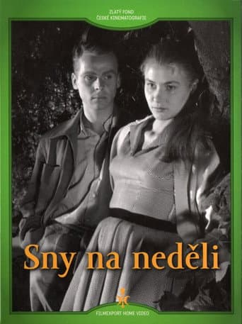Poster for Sny na neděli