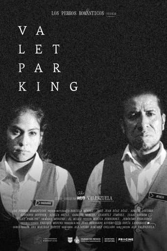 Poster for Valet parking
