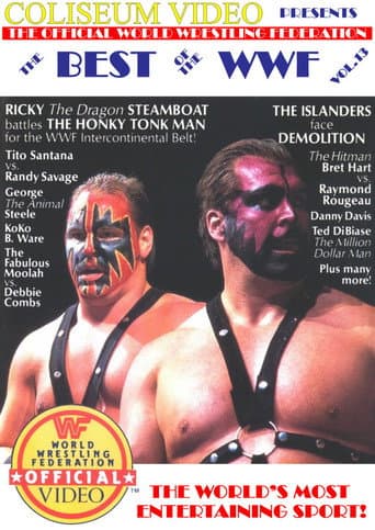 Poster for The Best of the WWF: volume 13