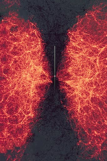 Poster for data-verse 1
