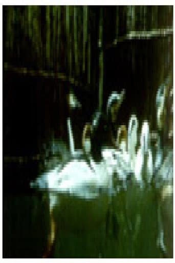 Poster for Birds and Fish
