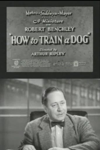 Poster for How to Train a Dog