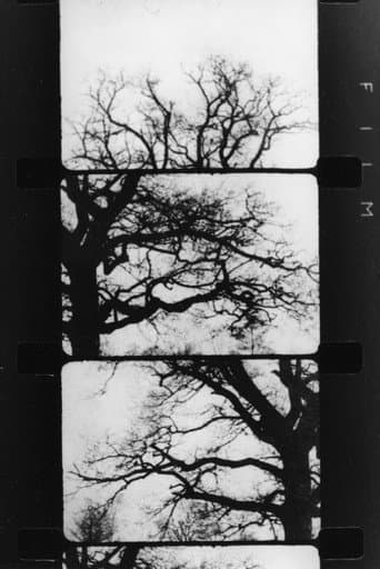 Poster for Finestra davanti ad un albero