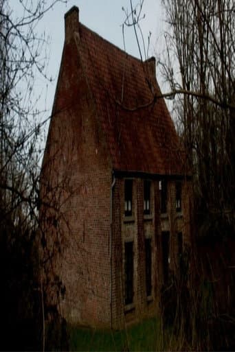 Poster for From Vincent's House in the Borinage