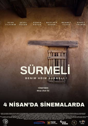Poster for Sürmeli