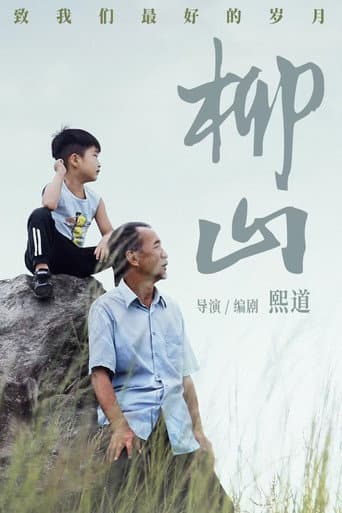 Poster for 柳山