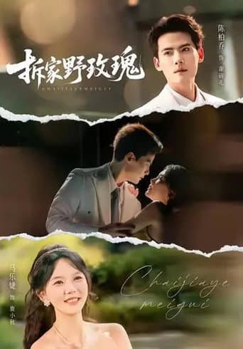 Poster for 拆家野玫瑰