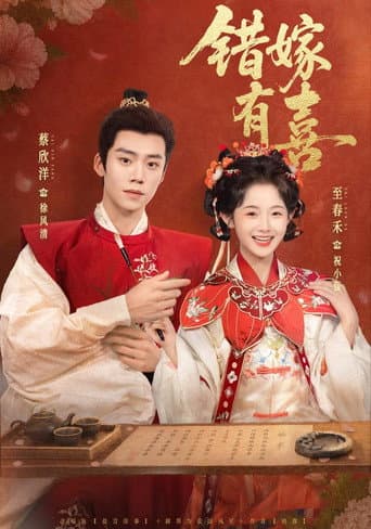 Poster for 错嫁有喜