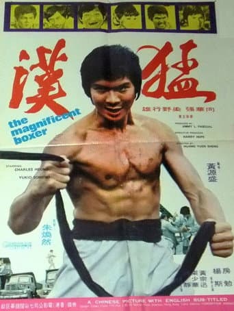 Poster for The Magnificent Boxer