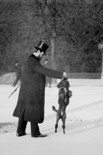 Poster for Chien Caniche Noir Sautant