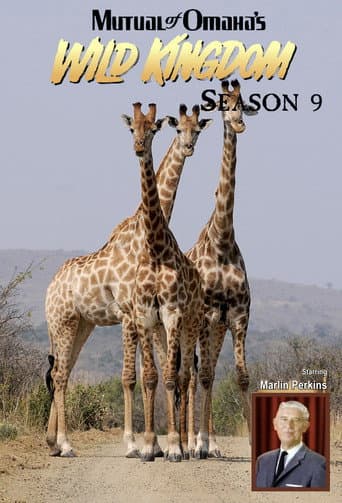 Poster for Season 9