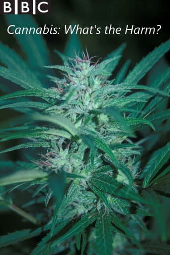 Poster for Cannabis: What's the Harm?
