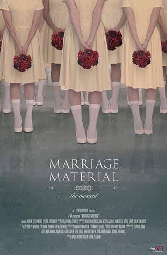 Poster for Marriage Material