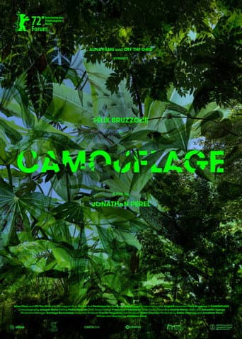 Poster for Camouflage