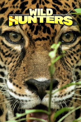 Poster for Wild Hunters