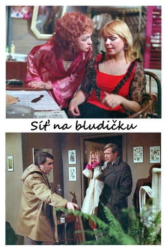 Poster for Síť na bludičku