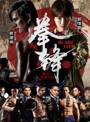 Poster for 拳锋