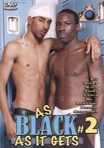 Poster for As Black as It Gets 2