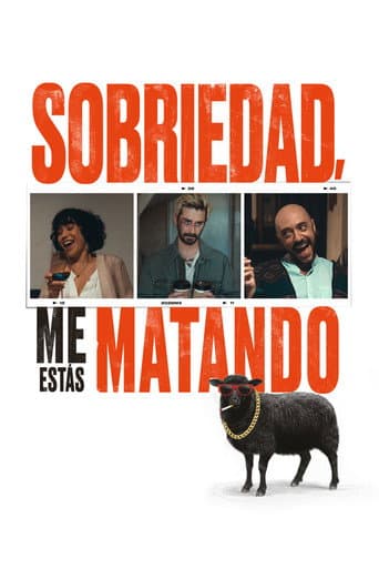 Poster for Dear Sobriety: You're Killing Me