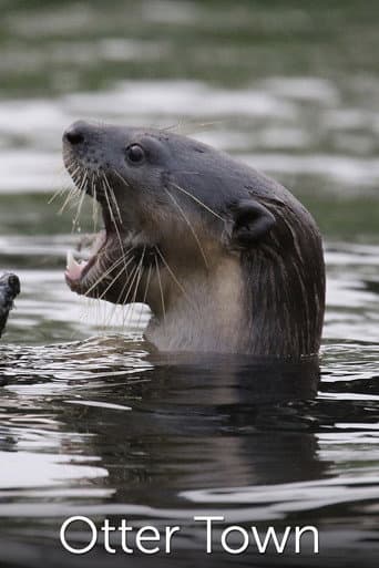Poster for Otter Town