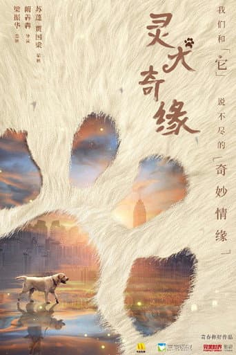 Poster for 灵犬奇缘