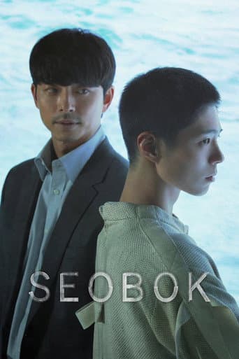 Poster for Seobok