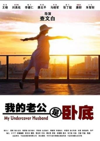 Poster for 我的老公是卧底