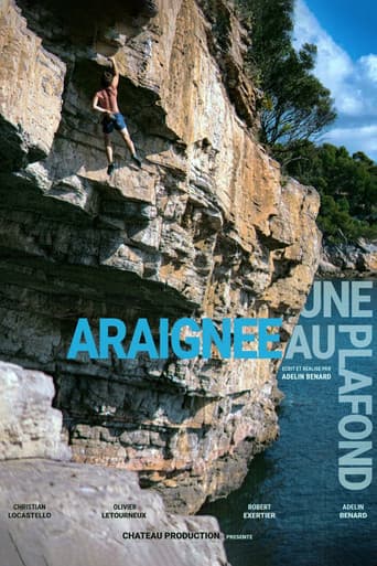 Poster for Une Araignée au Plafond