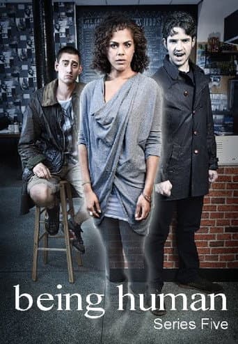Poster for Series 5