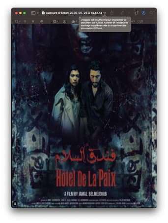 Poster for Hôtel de la Paix
