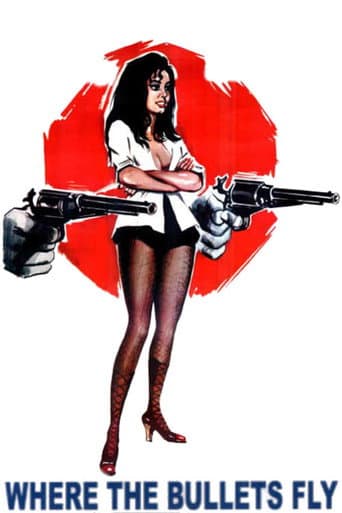 Poster for Where the Bullets Fly